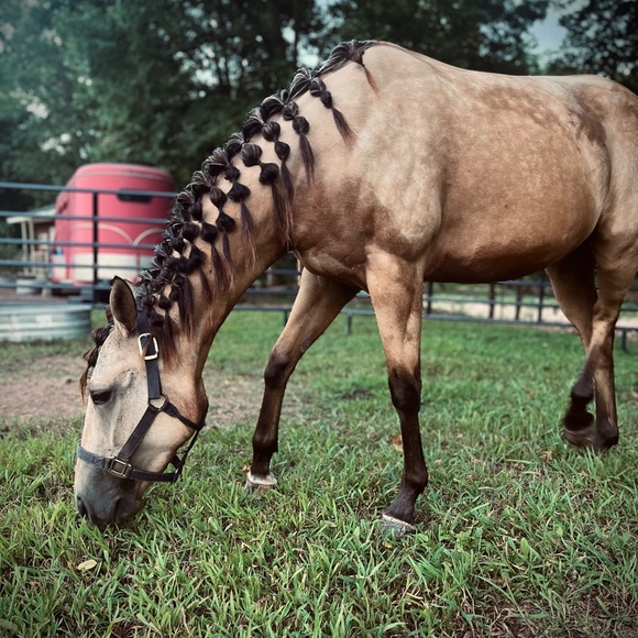 Meet your Posher, Grace Moore👋🏼 - Picture 13 of 14